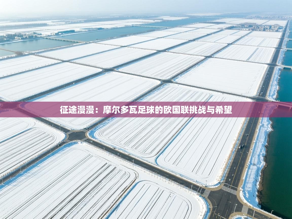 征途漫漫：摩尔多瓦足球的欧国联挑战与希望  第1张