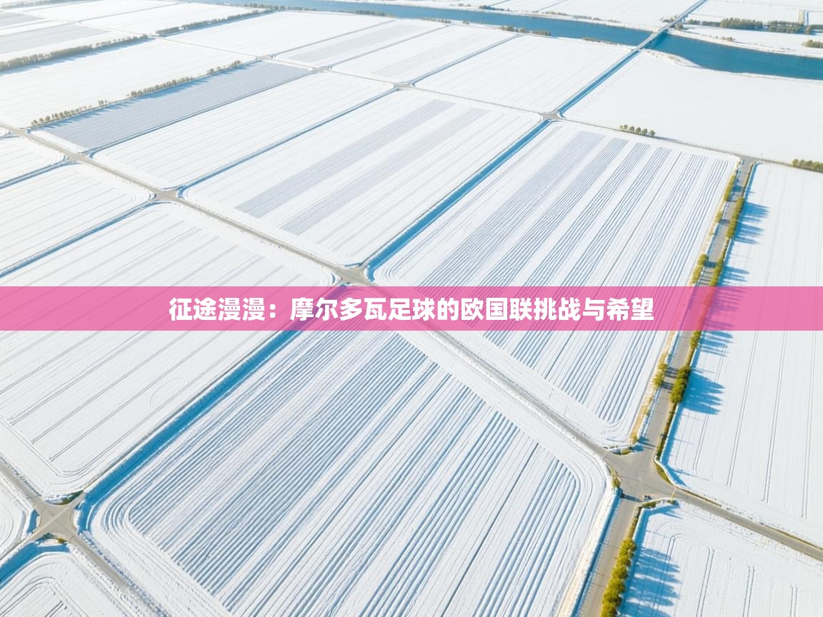 征途漫漫：摩尔多瓦足球的欧国联挑战与希望  第2张