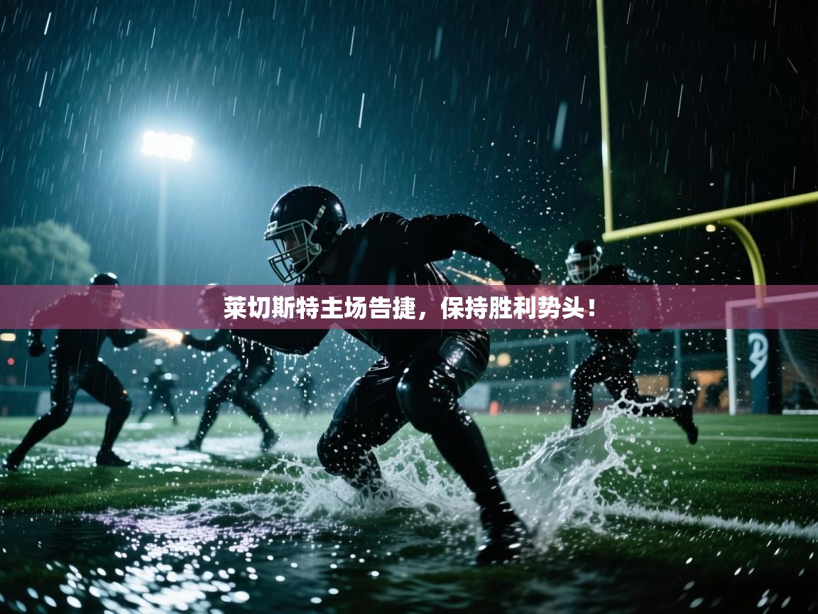 莱切斯特主场告捷，保持胜利势头！  第1张