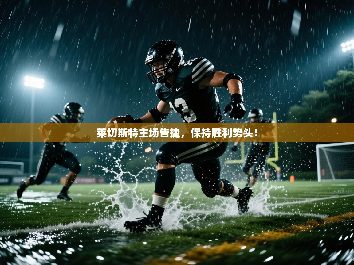 莱切斯特主场告捷，保持胜利势头！  第2张