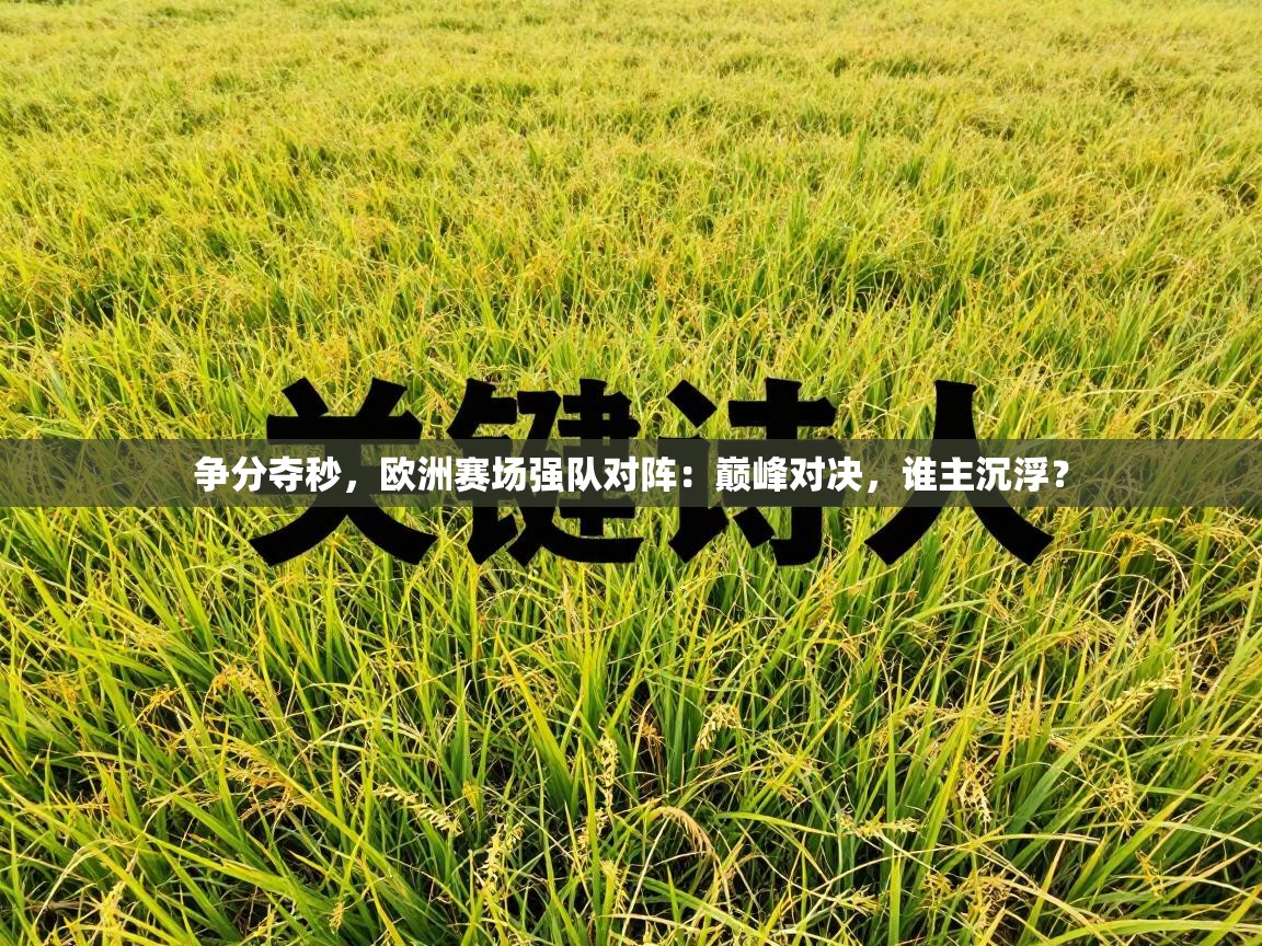 争分夺秒，欧洲赛场强队对阵：巅峰对决，谁主沉浮？  第1张