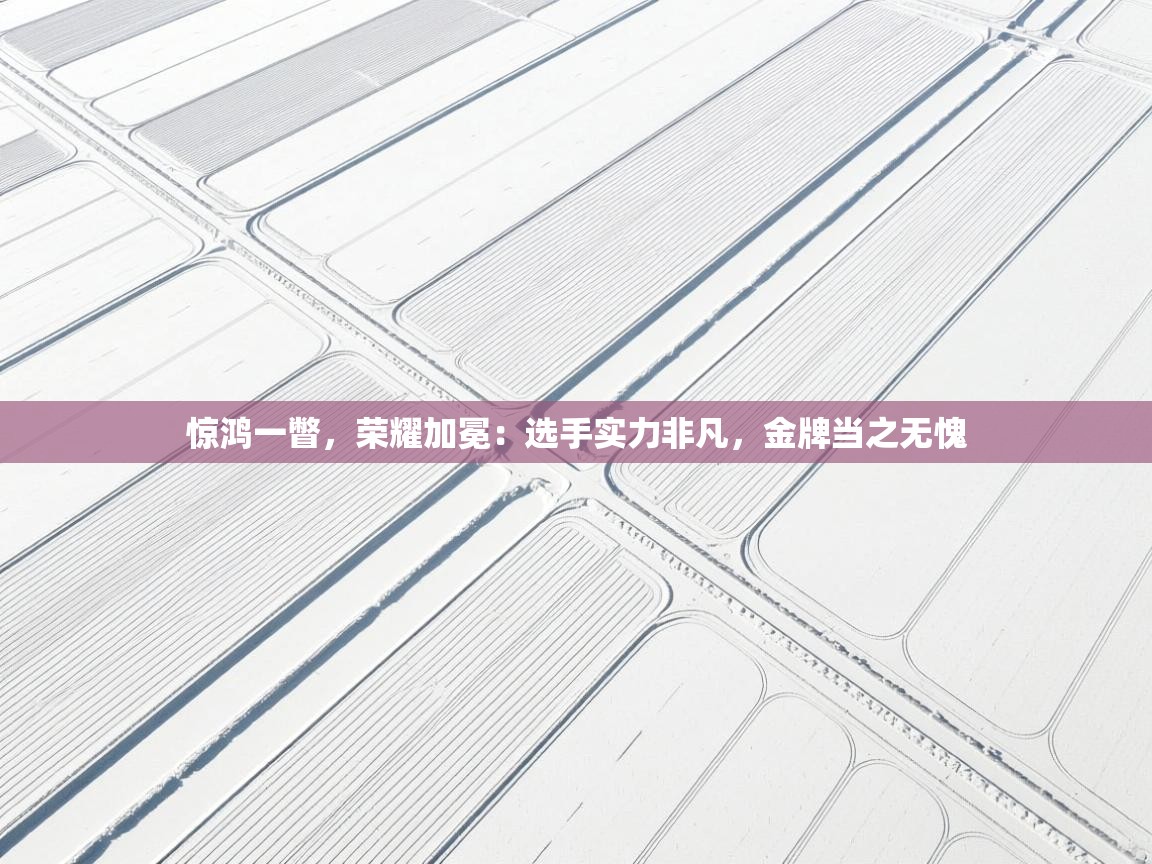 惊鸿一瞥，荣耀加冕：选手实力非凡，金牌当之无愧  第1张