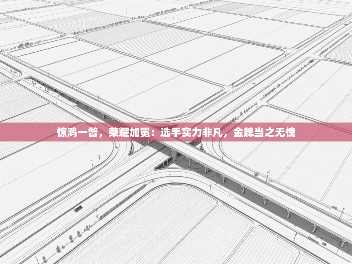 惊鸿一瞥，荣耀加冕：选手实力非凡，金牌当之无愧  第2张